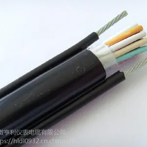 ���ο��Ƶ���IA-FVP2��ͨ��ҵ���ǵ��ߵ��³�