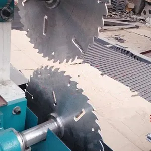 ���������Բ��������ش��� �ܳ����ϻ� ���߾� �ɶ��� �۸����