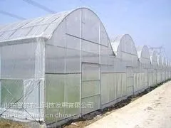 极好的新型阳光房哪里有,专业阳光板智能温室