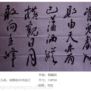 ***珍藏中书协理事书法
