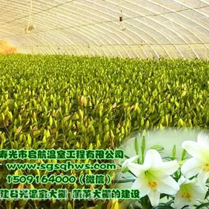 寿光市启航温室 温室建设 全钢架花梁温室大棚