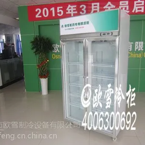 武汉大型超市用的不锈钢双开门冰柜哪里有