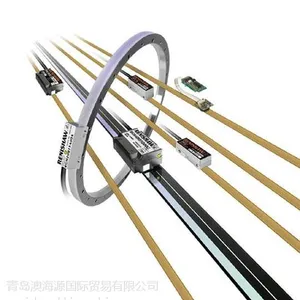 RenishawӢ��������RGS20-S��դ���ֻ�