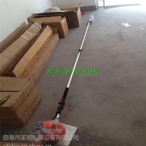 ���Լ۱����ͷ�ľ��֦�� ��Ʒ��3�׳�����ʽ��֦��