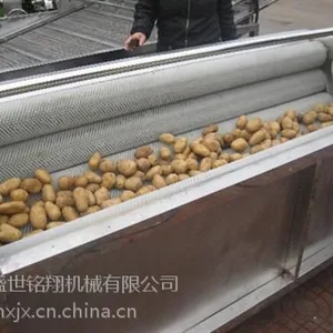 诸城盛世铭翔(已认证),青萝卜清洗机,青萝卜清洗机图片