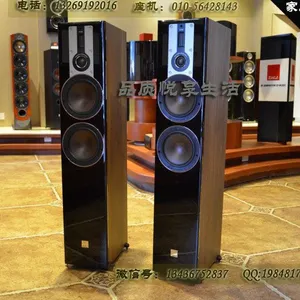 达尼OPTICON 6 欧典6号 落地HIFI音箱 家庭影院音响原装进口