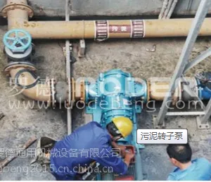 山东耐磨损污泥转子泵厂家选择罗德