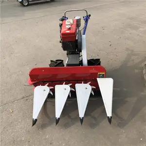 ���ַ��ո�� ���׸Ѹ�� ���ܸ�Ч�ջ��