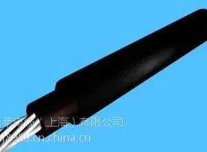 PV1-F光伏电缆|太阳能光伏电缆价格|太阳能电站专用电缆