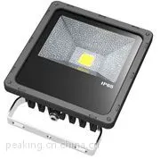 50W LED投光灯 - TG50S系列