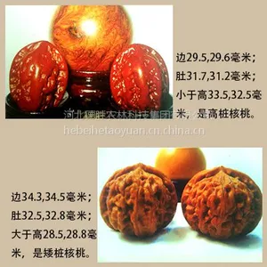 ��������������������Ƥ�ӱ��������ľ���۴����������������