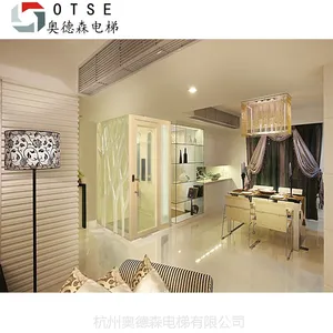 【OTSE】郑州家用别墅小型电梯 专业制造家用电梯厂家