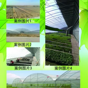 椭圆管骨架 承载能力大的蔬菜大棚 春秋棚 冷棚