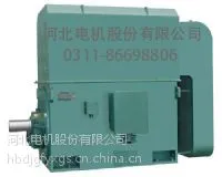 �ӱ����������2��200kw380vYKKϵ�����͸�ѹ�����첽�����10KV��