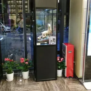 专业提供广州展柜出租,酒店,特卖场,会议展柜出租