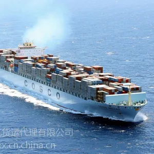 进出口货物的运输代理服务及包机服务 -进口全程运输:海外工厂提货、海外清关