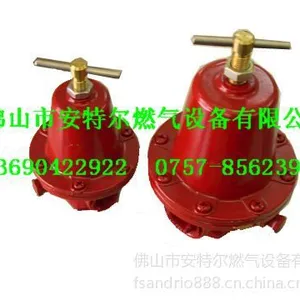 ��Ӧ���ض�ȼ������REGO/FISHERȼ����ѹ��/ȼ���豸13360326736
