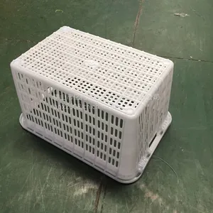 ����������ת�� PP������� �ֻ�ֱ�������ܸ�