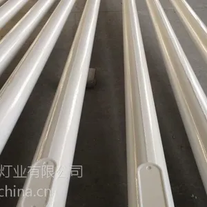 扬州路灯厂家 6-10米路灯 灯杆造型