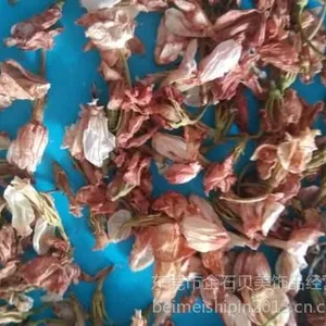 供应供应茉莉干/香包填充干花茉莉干花/茶枕填充干花茉莉干花/茉莉干花供应商