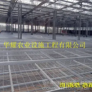 供应改进款苗床温室大棚潮汐苗床使用快捷省时又省力