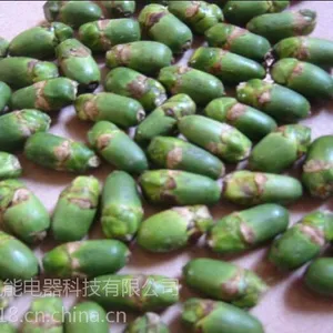 供应槟榔热泵烘干除湿一体机设备批发