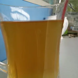 枯草芽孢杆菌粉
