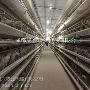 晟兴牧业供应9CLXD-5300型蛋鸡养殖设备