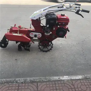 ��п����⹵�� ��ʥС��ũ�ÿ����� С��ũ���ڹ���