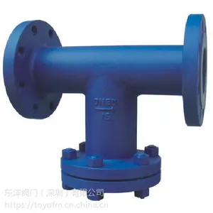 法兰T型过滤器