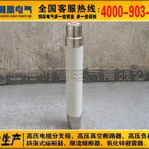 XRNT1-12/10A 20A 50A80A高压熔断器