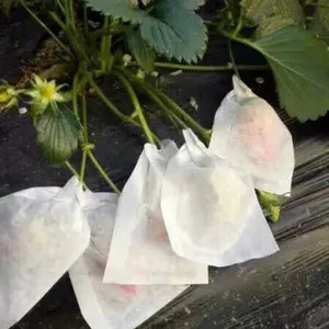 信泉牌草莓套袋 草莓袋 水果套袋