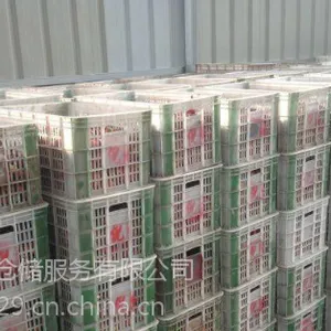 冷库租赁 ,租冷库什么价格