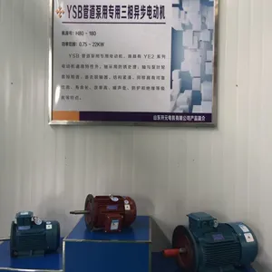 YSB管道泵用专用三相异步电动机