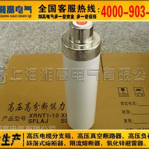 SDLAJ-12KV/40A高压高分段能力熔断器
