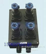 供应BXS8050系列防爆防腐电源插座箱