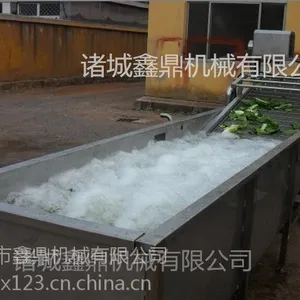 葡萄清洗机生产厂家直销 简单操作 省时省力