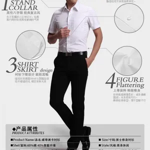 供应琪诺男士职业正装修身衬衣