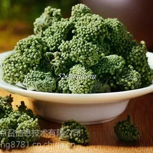 云南文山无柄三七花15年新花产地批发