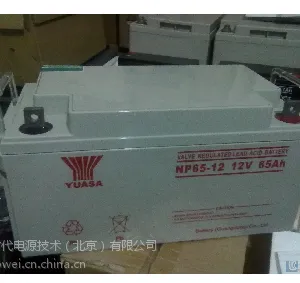 ������ǳ����NP12/100ϵ���ܴ���������������ԭװ��Ʒ***
