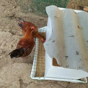 ��������۸� ����Ѽ����۸� ���������豸