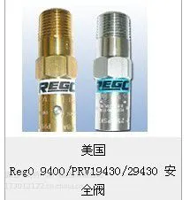 美国REGO力高 B-9425安全阀B-9426安全阀PRV9432T350安全阀