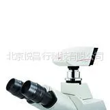 供应LeicaDFC310FX数码摄像头 现货 参数 徕卡显微镜全国总代/价格