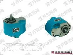 CB-B10齿轮油泵厂家哪家好