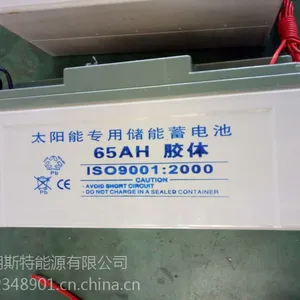 朗斯特储能蓄电池6-CNJ-65