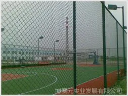 博赛元供应毕节体育护栏网型号 毕节出售球场护栏网、体育围网