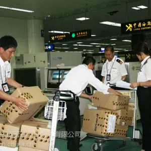 上海保税区报关代理