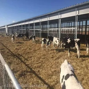 供应辽源市通化市猪舍防风透光窗帘布畜牧防水***卷帘布养殖场***透光卷帘产业用布