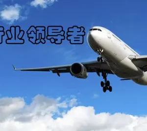 上海蓝东实业有限公司