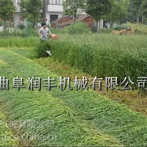����������ɹ�� ��� �ո�ˮ�������ո�� ��̨
